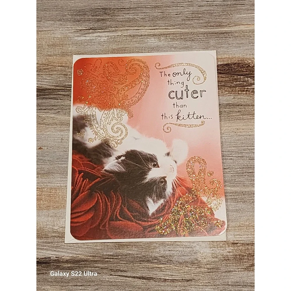 Taylor Swift American Greetings Kitten Greeting Card Gold Glitter Paisley 38